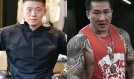 郭陈东爆料打假拳视频,郭陈东曝光打假拳内幕视频引发热议